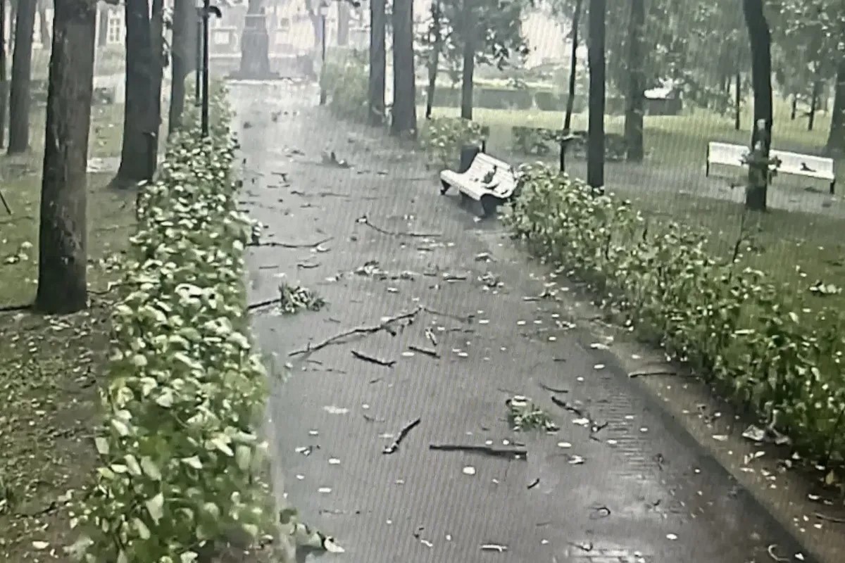 Подросток погиб во время шторма в городском парке