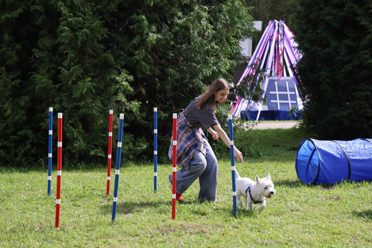 Ветврач раскрыл, сколько времени нужно уделять на игры с питомцем