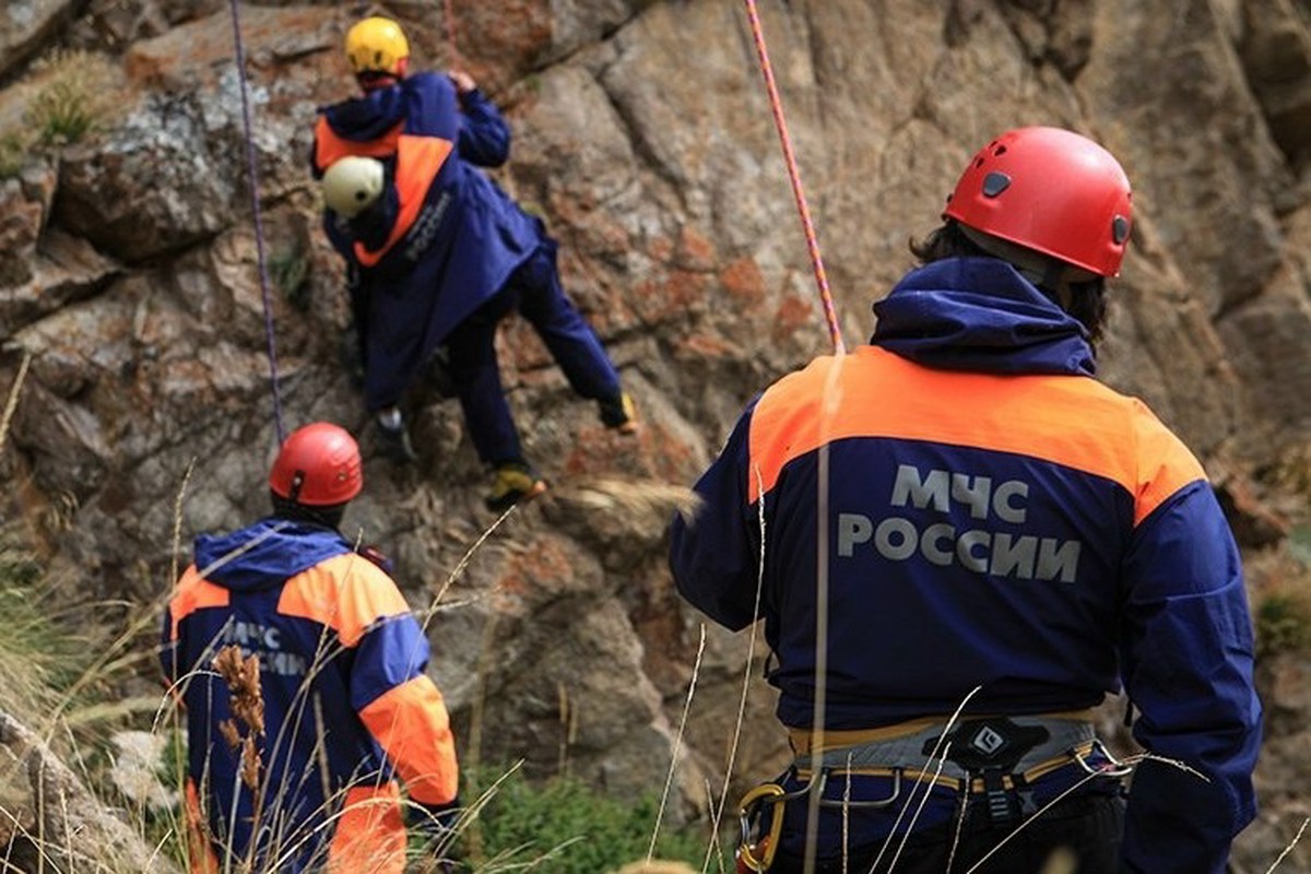 Тело парапланериста сутки провисело на дереве в ущелье