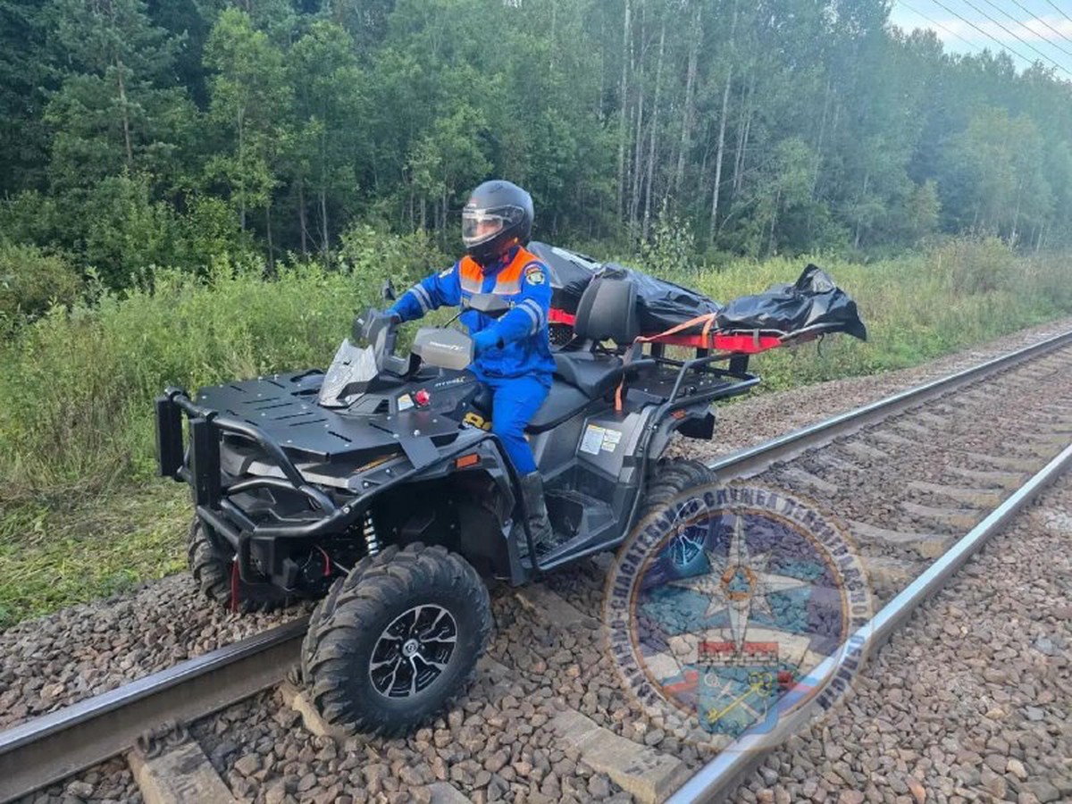 Поезд сбил двух человек на путях в Ленинградской области