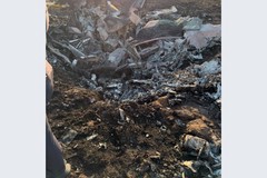 Фото © ГБРУ