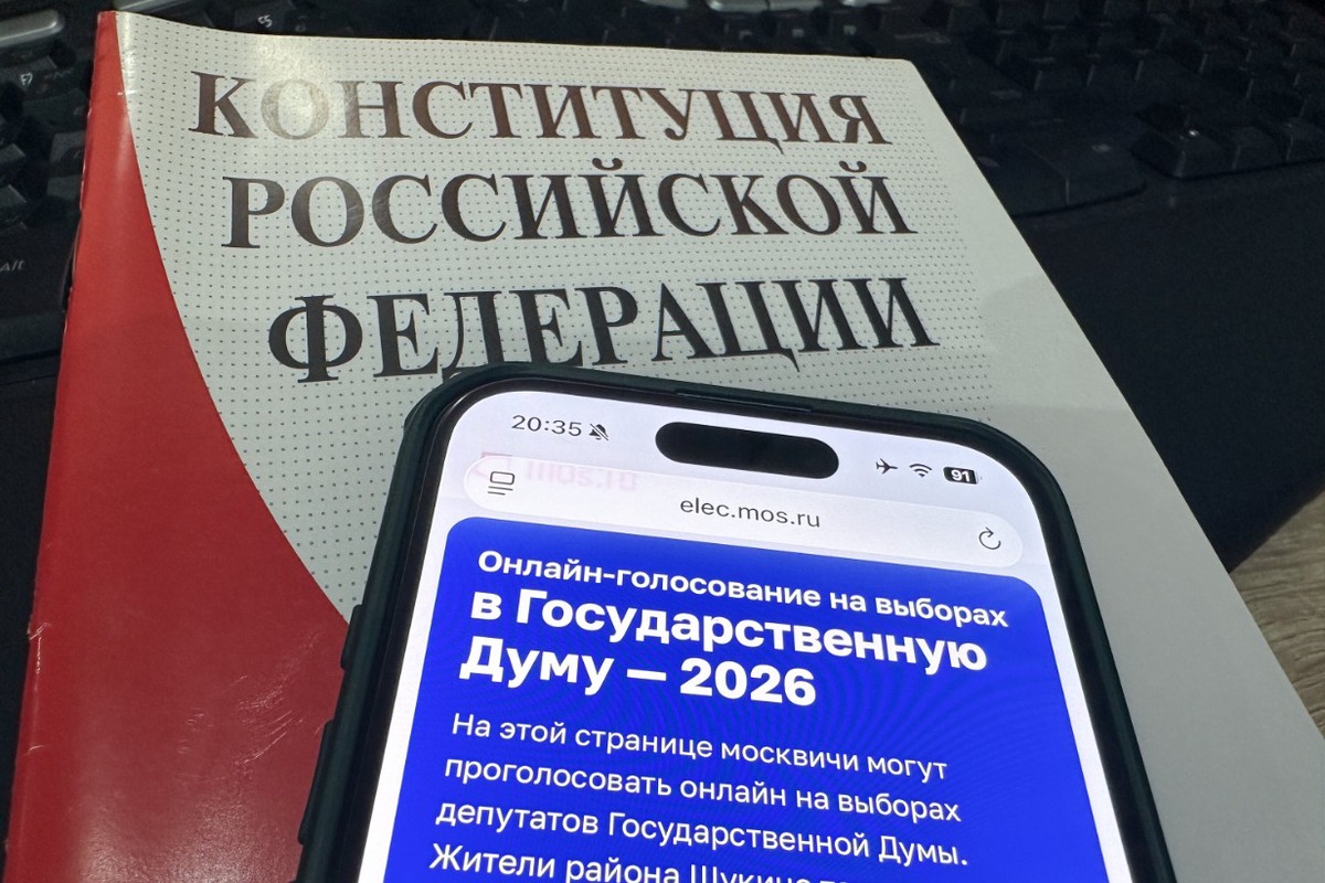 Глава ВЦИОМа назвал скорость преимуществом электронного голосования