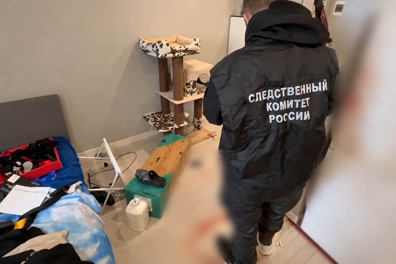 Мытищинские Ромео и Джульетта попали под суд: как мертвецы оказались на скамье подсудимых