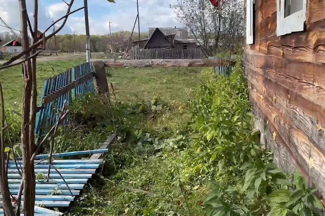 Медведи объявили охоту на россиян: жуткие убийства, массовые отстрелы. Граждан призывают сидеть дома