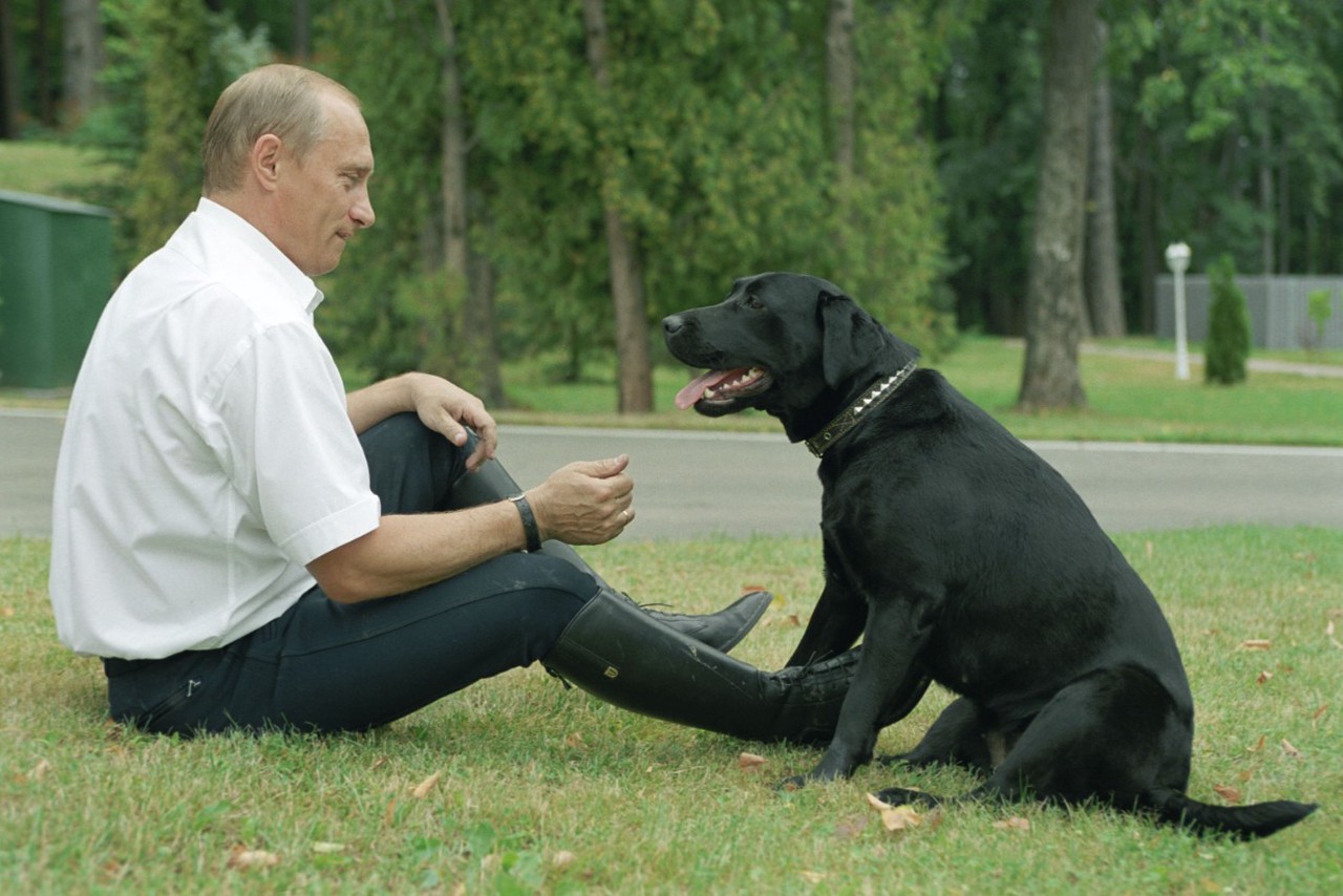 Фото © Владимир Родионов / ТАСС / Владимир Путин с лабрадором Кони, 2003 г.