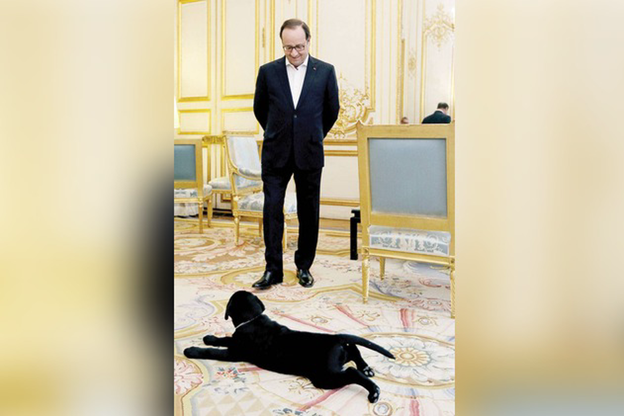 <span>Фото</span> © Elysee Palace / Франсуа Олланд с Филае, 2014 г.