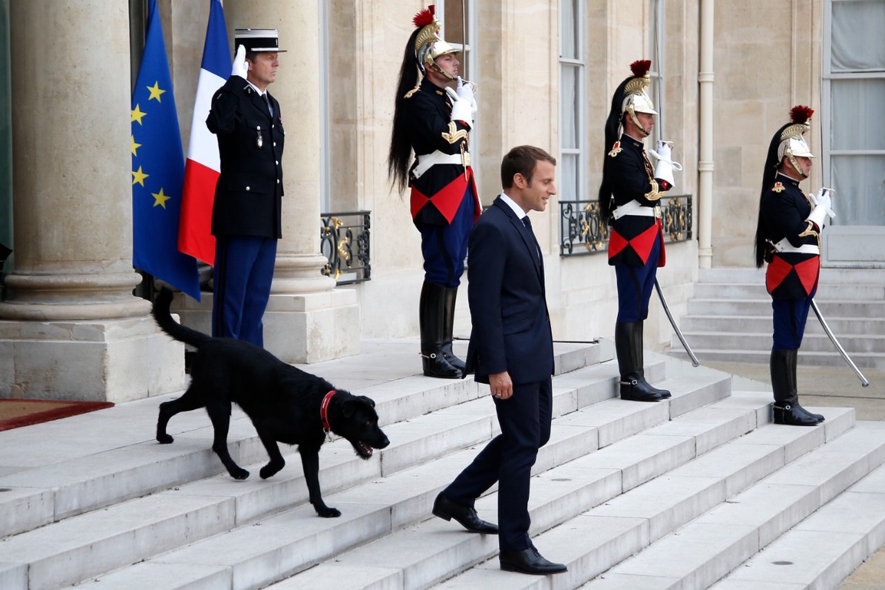 Фото © Thibault Camus / AP / ТАСС / Эммануэль Макрон с Немо, 2017 г.