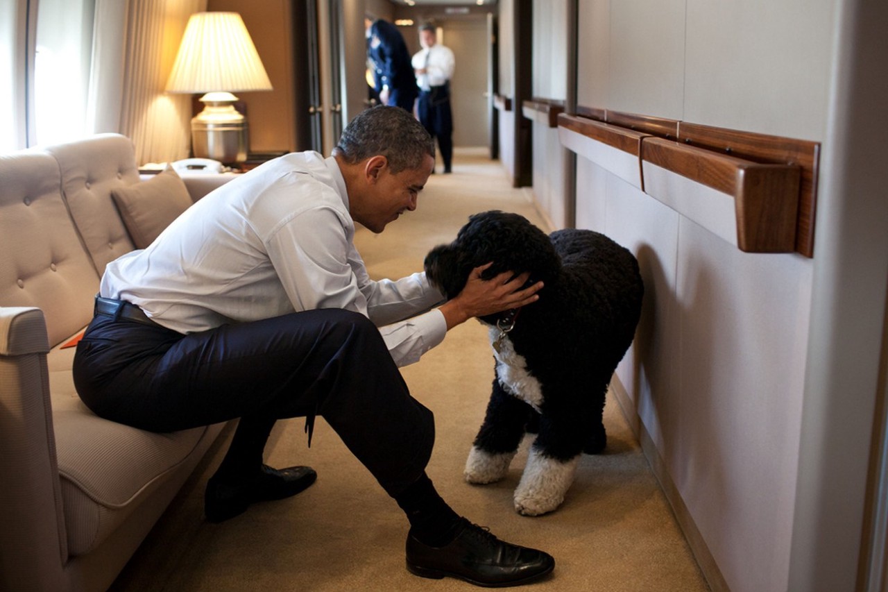 Фото © Pete Souza / The White House / ТАСС / Барак Обама с Бо, 2011 г.