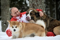 Фото © Алексей Дружинин / ТАСС / Владимир Путин с Бафaи и Юмэ, 2013 г.