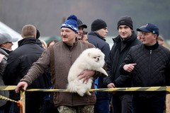 Фото © Максим Гучек / БелТА / ТАСС / Александр Лукашенко с Умкой, 2022 г.