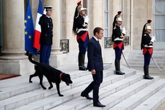 Фото © Thibault Camus / AP / ТАСС / Эммануэль Макрон с Немо, 2017 г.