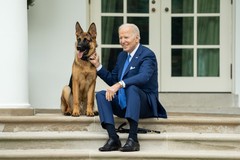 Фото © Adam Schultz / Zuma / ТАСС / Джо Байден с Коммандером, 2023 г.