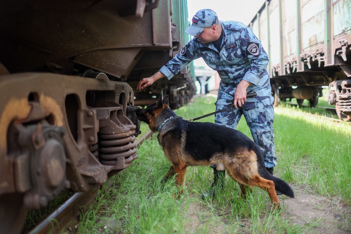 Погибшие на улицах и в поезде, школы и дома под ударом БПЛА: Воронеж пережил самую кошмарную ночь
