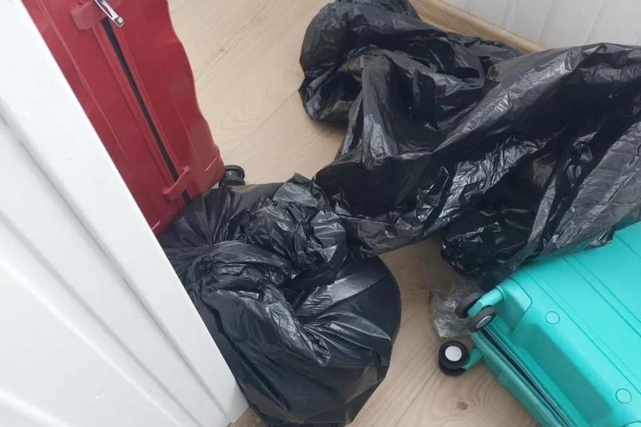 Жительницу Москвы расчленили в собственной квартире: личность убийцы, судьба дочери и арсенал в гараже